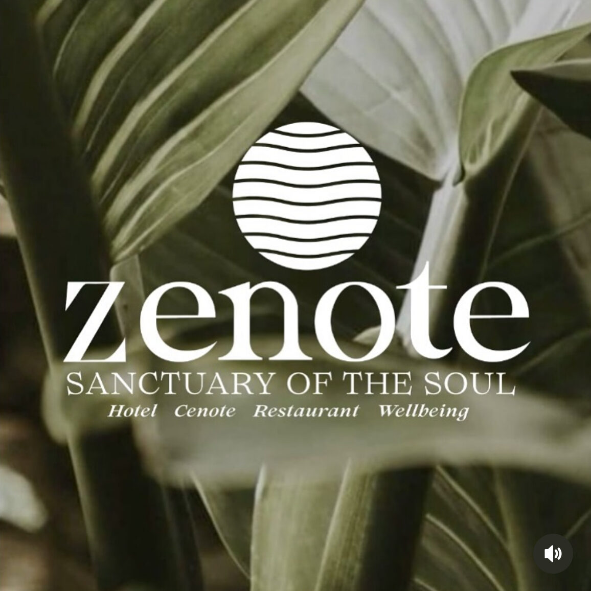 Captura de pantalla 2025-08-16 a la(s) 19.58.50